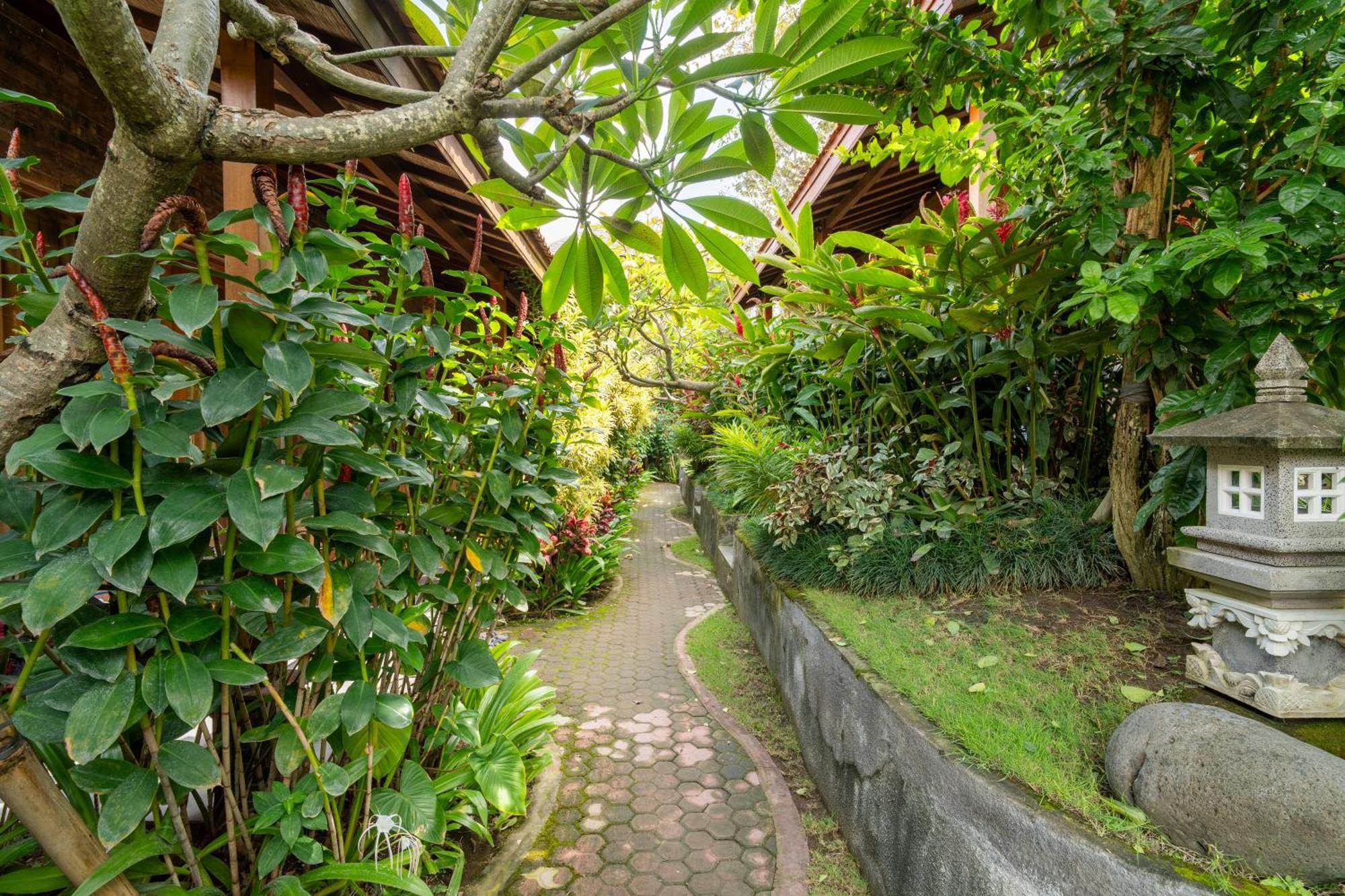 Jinar Guest House Canggu  Exterior photo